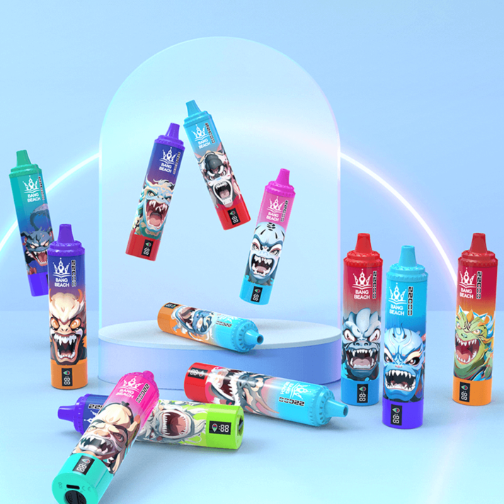 BANG BEACH 22000 PUFFS 0% 2% 3% 5% Nicotine Rechargeable Bulk Buy Disposable Vape Wholesale