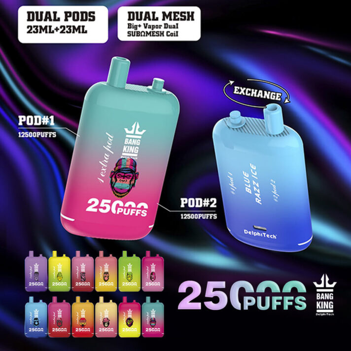 Bang King 25000 Puffs Dual Pods 0% 2% 3% 5% a basso contenuto di nicotina Acquista all'ingrosso la penna ricaricabile usa e getta per vapes.